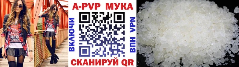 Альфа ПВП СК Светогорск